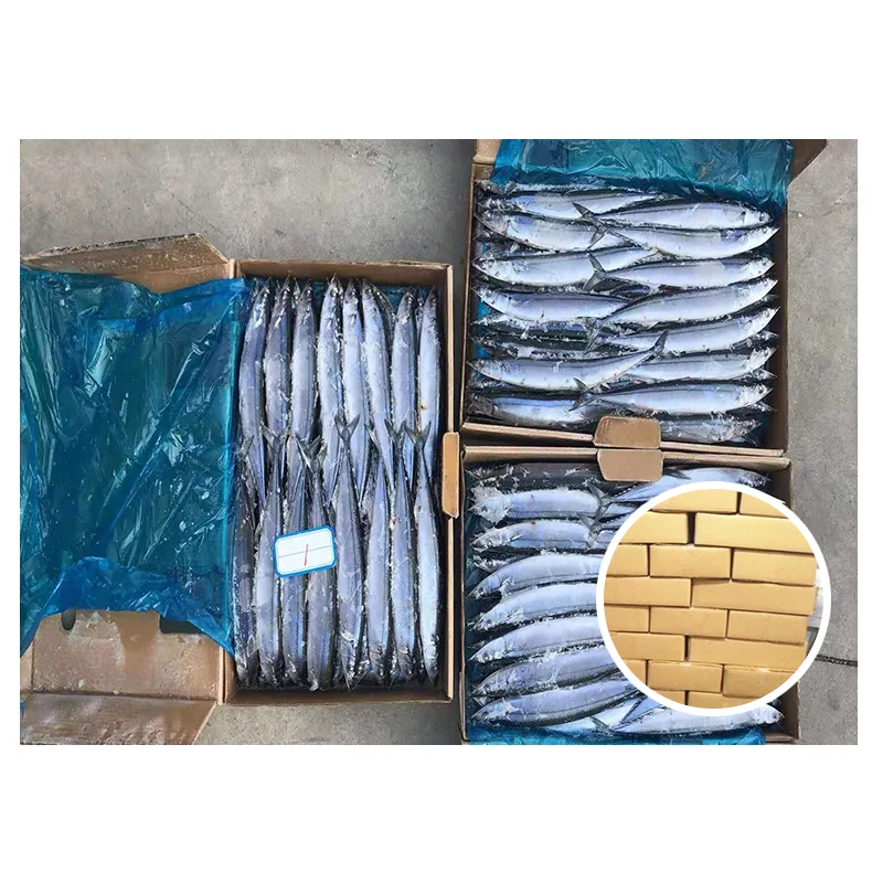 High Quality Sea Frozen Cololnbis Snira Fish 100 % NW 140 - 160g Frozen Pacific Saury