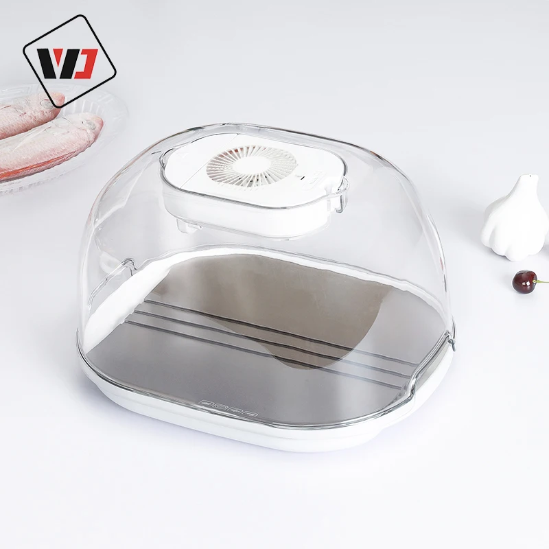 2022 new development thaw defrosting tray high quality thawing tray for frozen meat