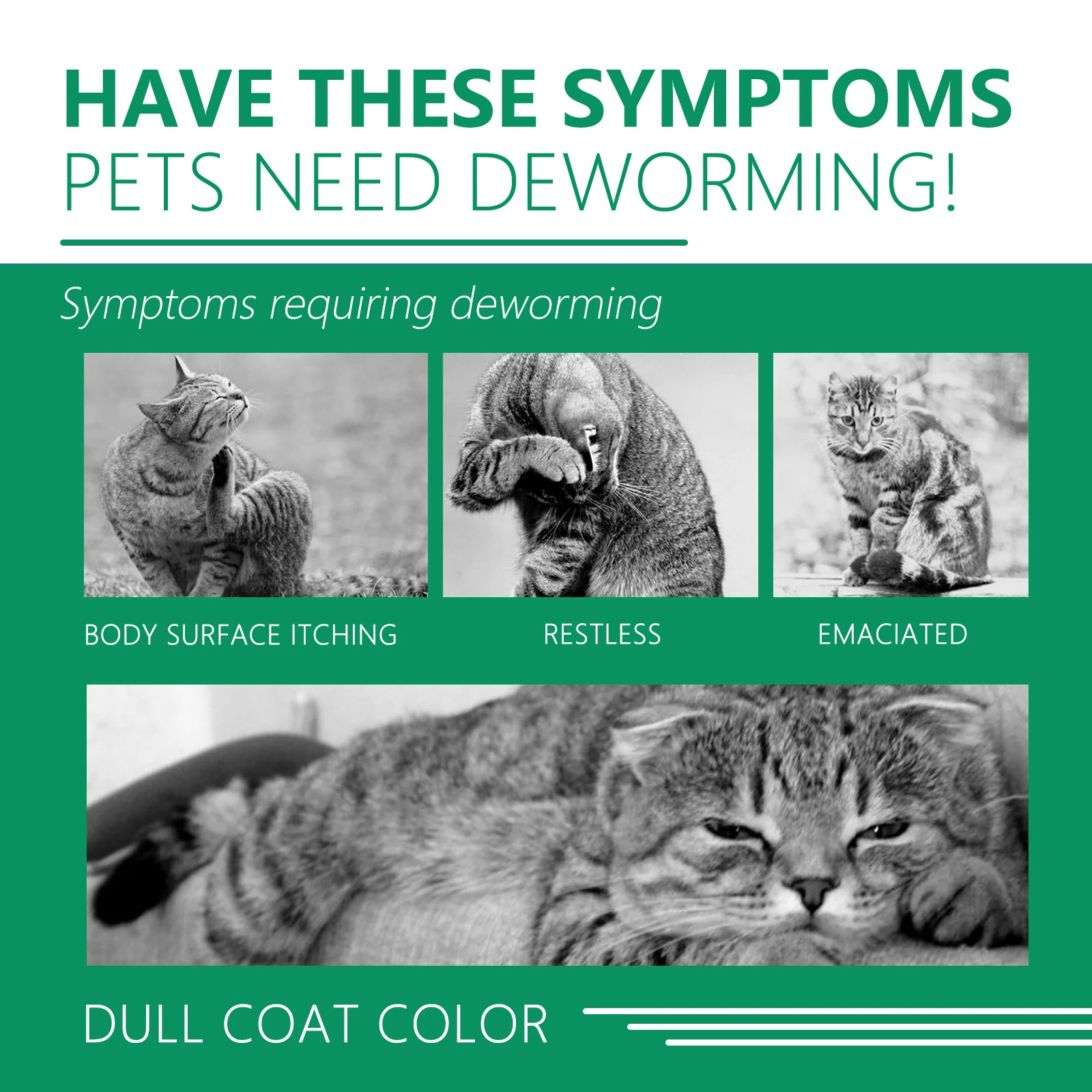 Yegbong OEMODM Insect Repeller Gentle Formula Cat Insect Repellent Non-harmful Ring Pet Insect Repellent