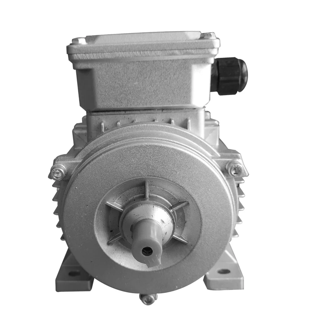 220V 230V Induction Motor 1500rpm 3000rpm 2.2kw 3 hp Electric Motors Prices for Sale