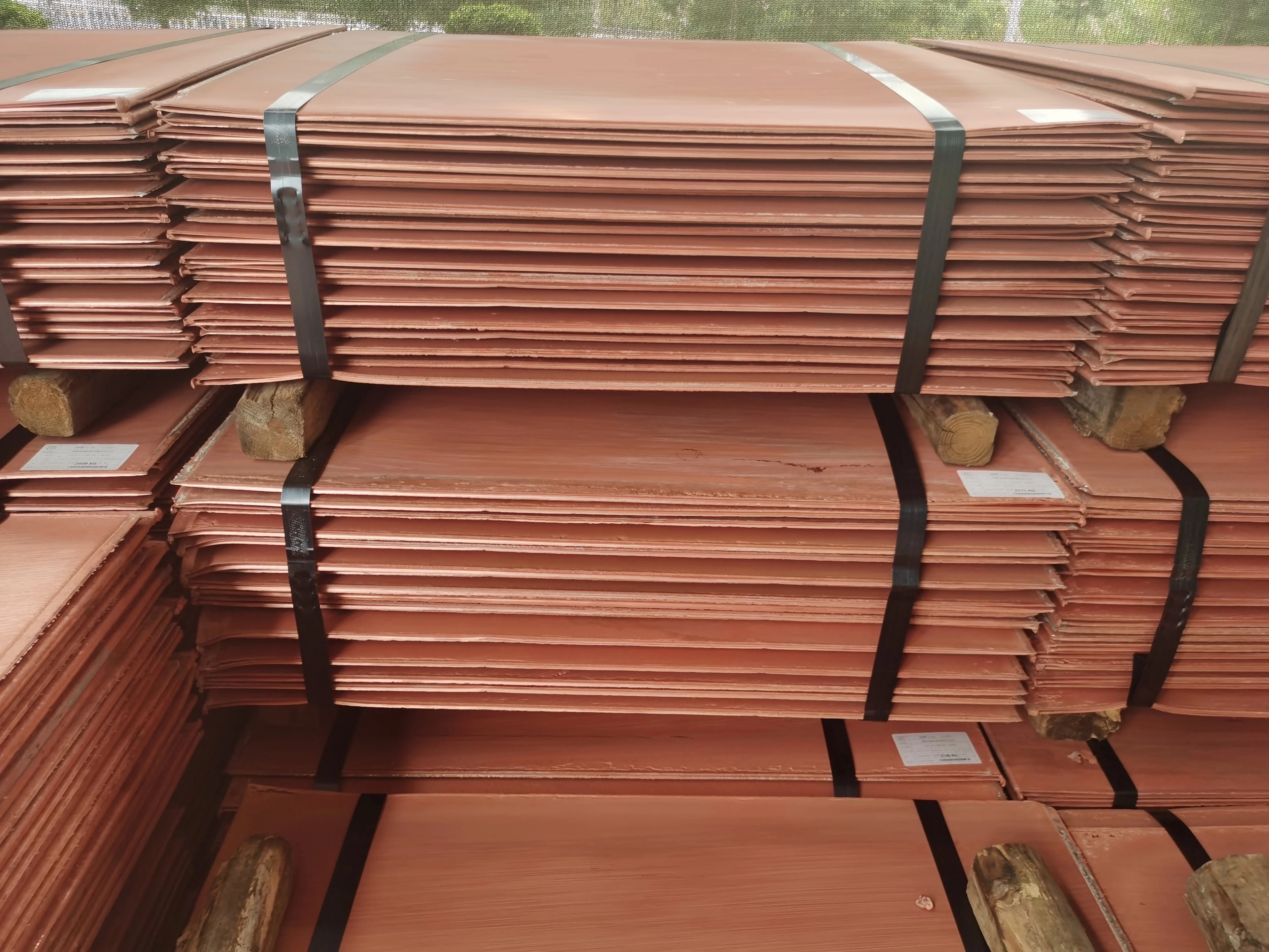 high quality electrolytic copper cathodes 99 99