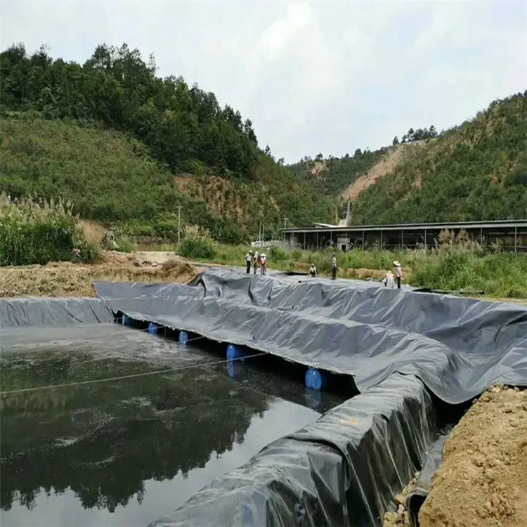 0.5mm Fish Farm Pond Liner 0.7mm Waterproof Geomembranas HDPE Liner Manufacturer 1mm Hdpe Geomembrane for Pond