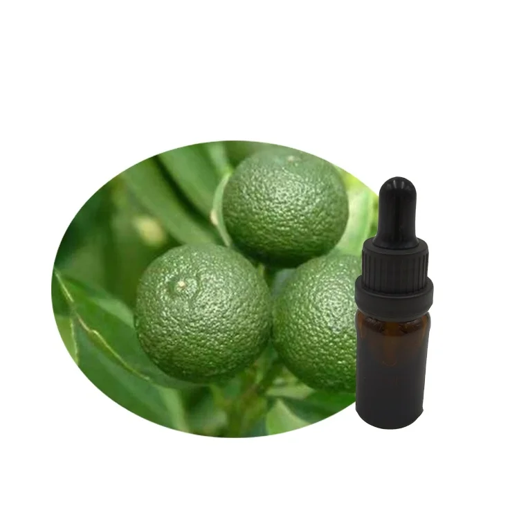 
Hot Selling Good Quality Solvent Extraction Difuser Pure Essential Oil Bulk 