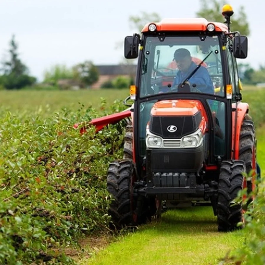 
Organic Aronia Juice Concentrate 