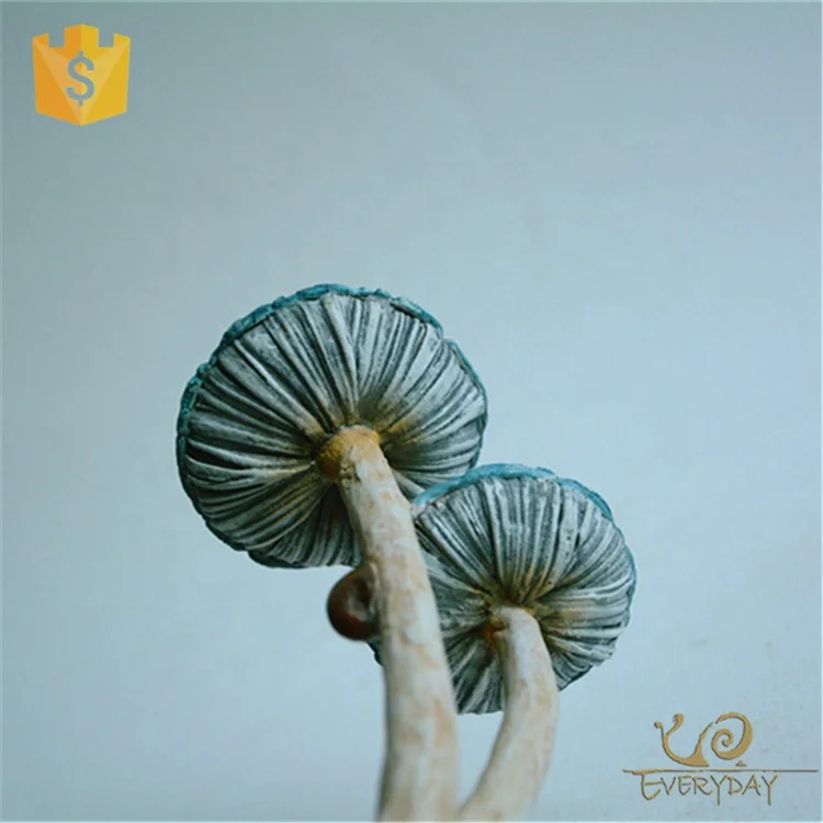 
ED11768B Wholesale Gifts Tabletop Decor Colorful Resin Mushroom Figurine for Home & Garden Decoration 