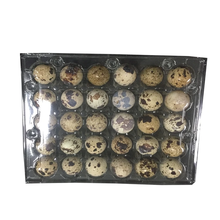 custom  various size disposable  plastic egg crate tray egg box quail egg tray