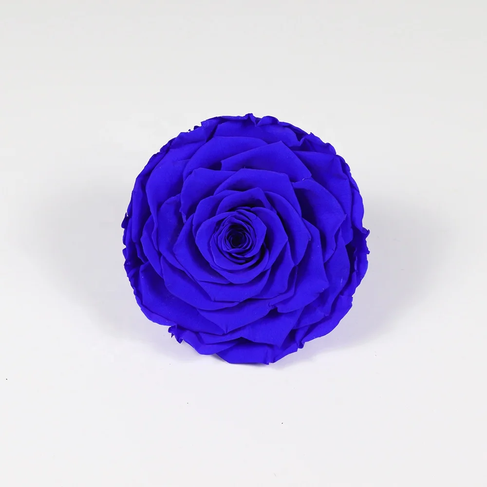 2021 New Style Big  9-10 cm Rose Real Fresh Romantic Beautiful  Preserved Rose Wholesale dried roses flowers