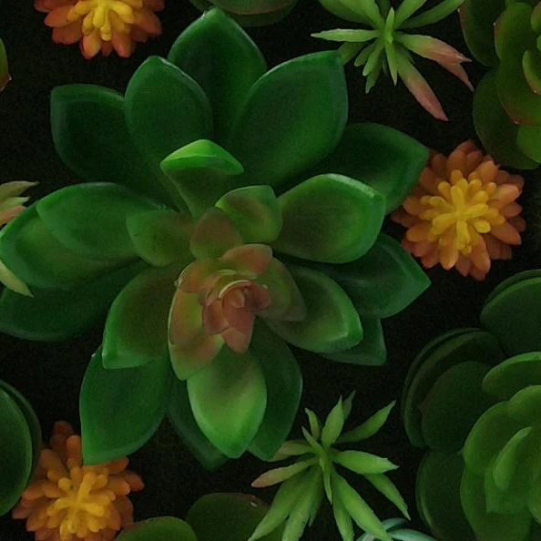 European-style rectangular wall-mounted 3d home decoration photo frame artificial Succulents plant greenery