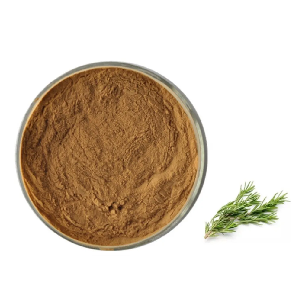 OEM hot selling Rosmarinic acid extracts 100% natural plant extract