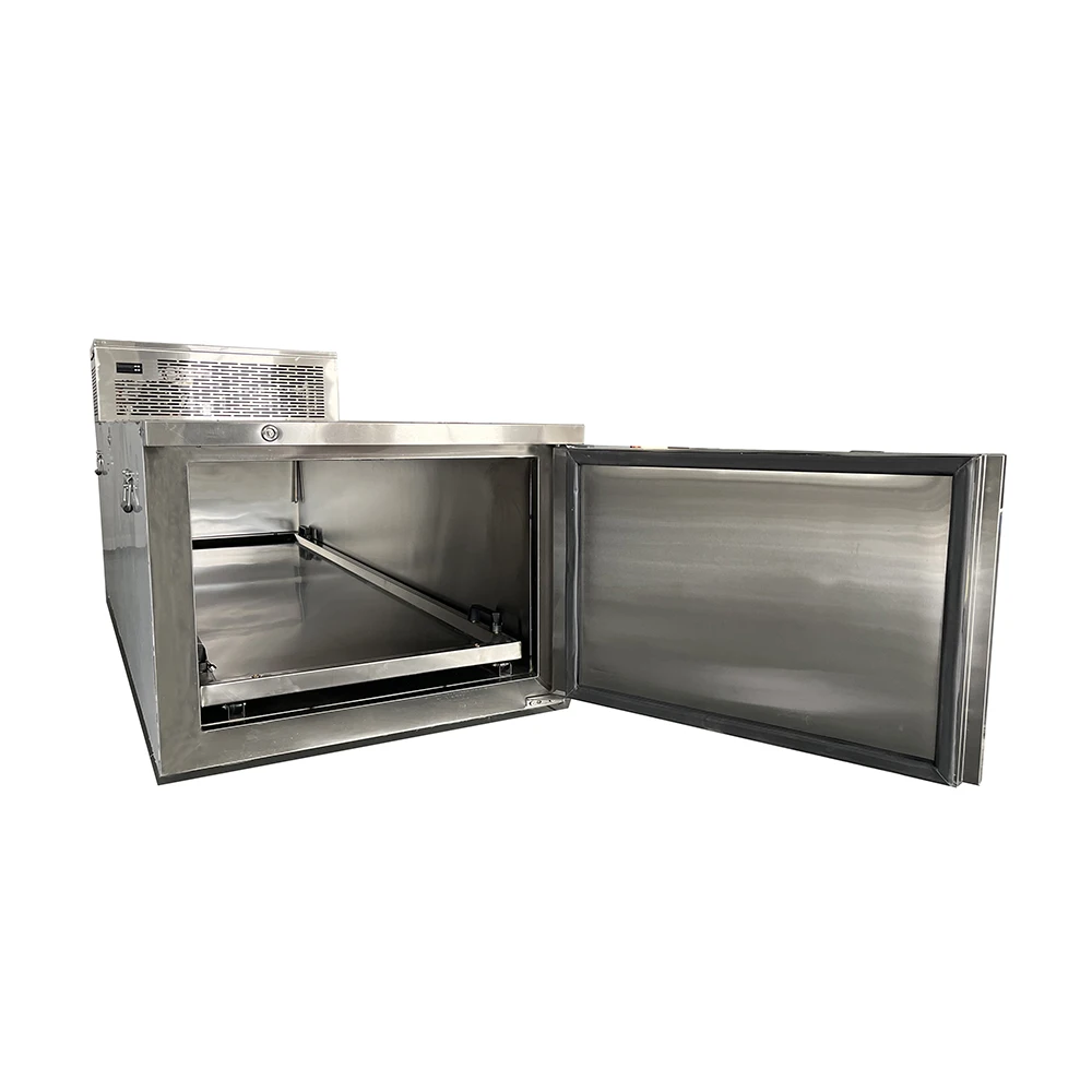 Ambulance Dead Body Freezer Funeral Equipment Mortuary Refrigerator For Corpses Storage
