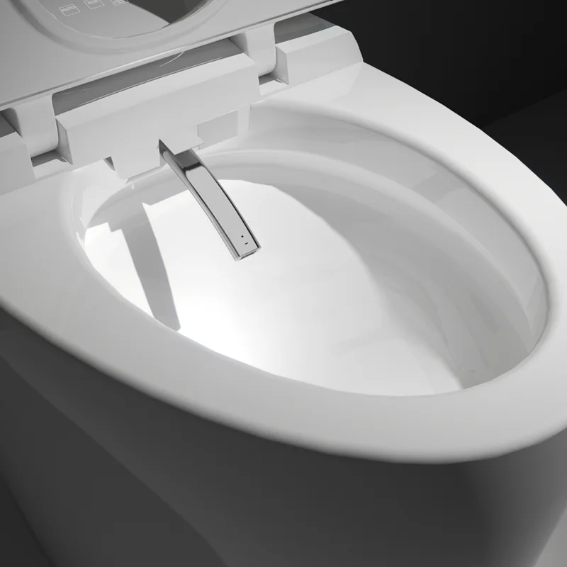 Egg Shaped One Piece Siphonic Smart Toilet S-Trap Auto Flush Big Pipe 110V\220V Female Washing Warm Wind