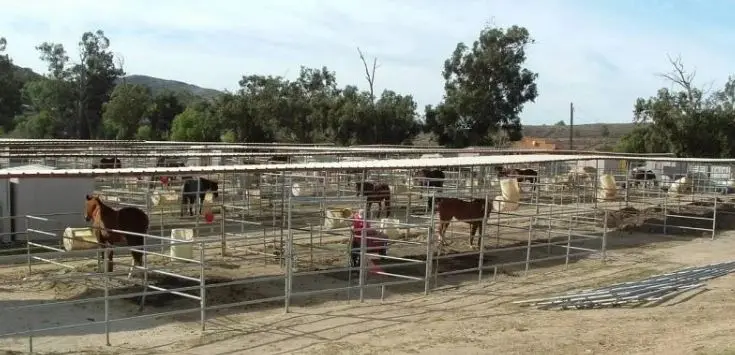 Galvanized Wire Mesh Cattle Fence for Horse factory 2021 new arrival galvanized steel horse round pen arena corral fence panels