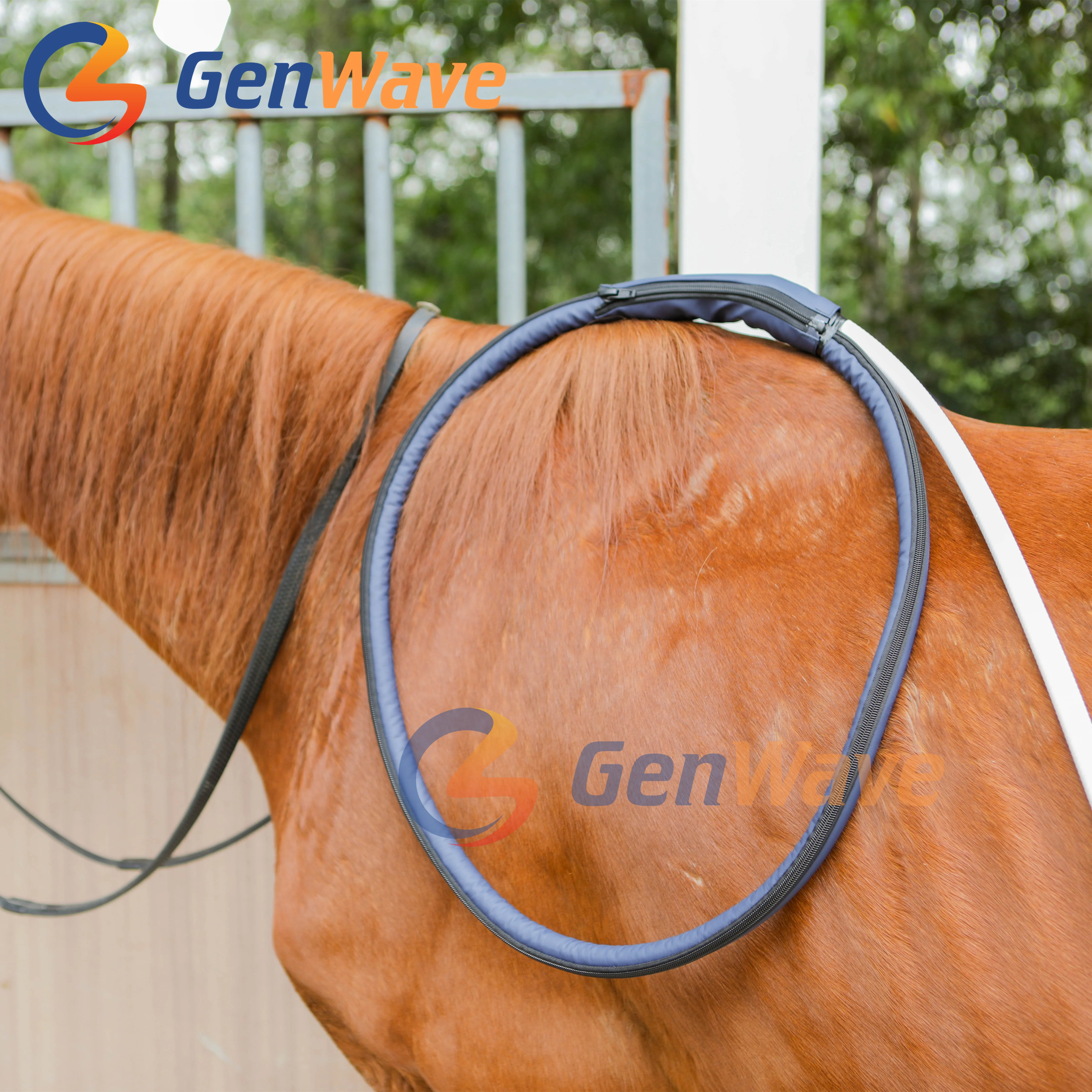 Equine Machine PMST LOOP Physio Magneto PEMF Magnetic Therapy Device Machine for Pain Management