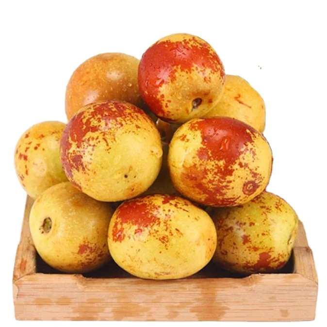 
Fresh Zizyphus jujuba/Round dates /winter jujube fruit supplier in China 