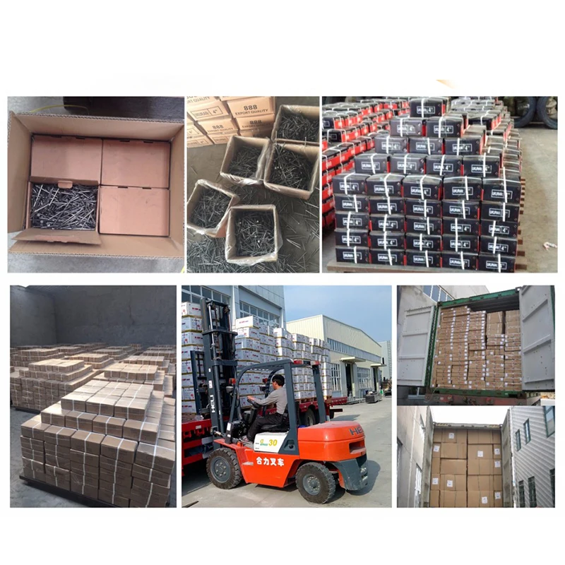 Factory Checked head bright 20mm 30mm 40mm 50mm 60mm 70mm 80mm 90mm 100mm 125mm iron nails custom common wire nails