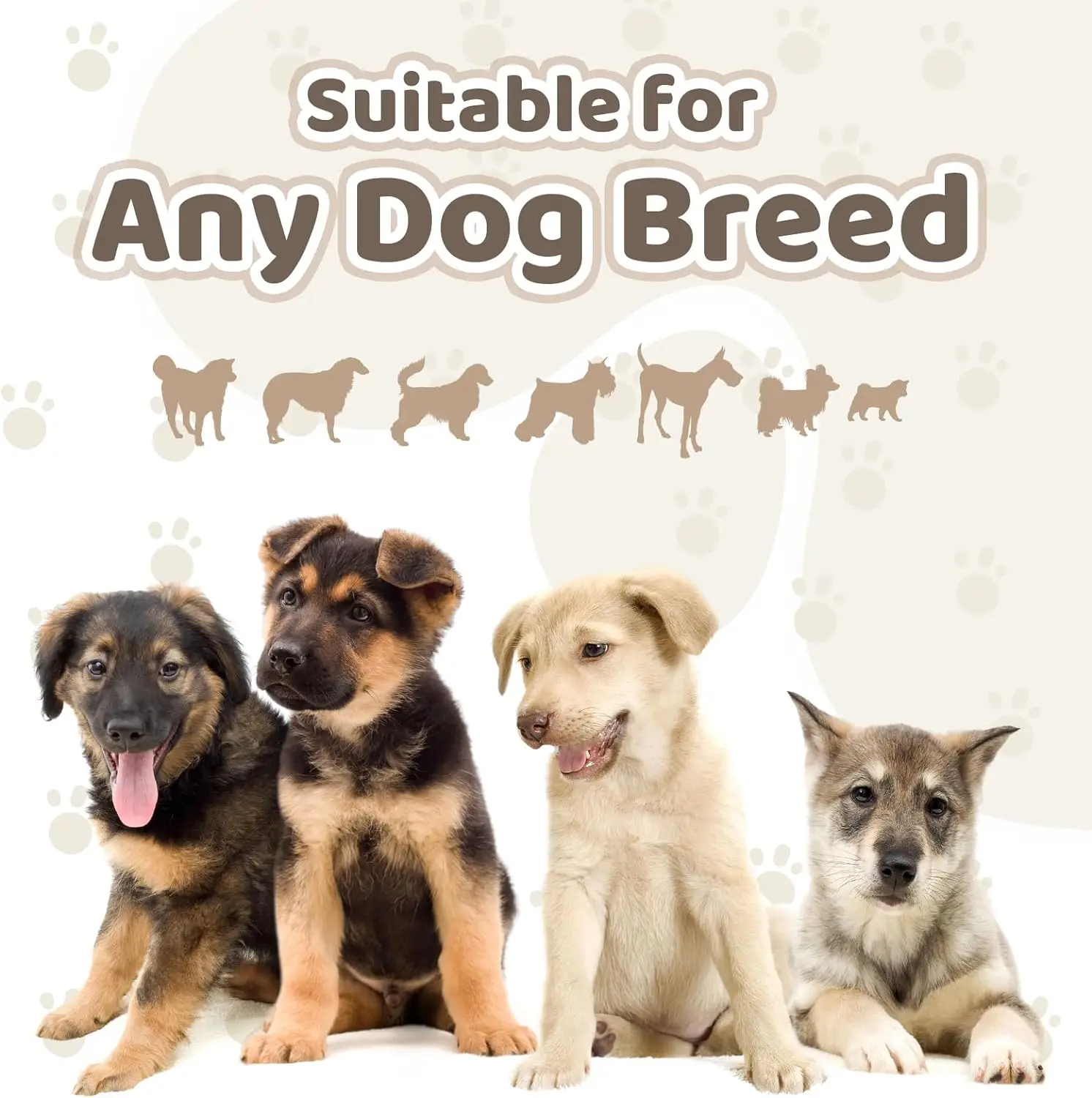 Dog Scratch Board Dog Cat Nail Scratch Board Large Dog Scratching Pad Nail File Board for Pet with 2 Extra Sandpaper