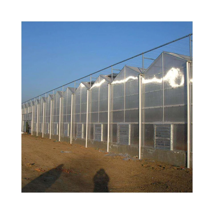 
Zehui manufacturing Venlo hydroponics polycarbonate sheet greenhouse glass greenhouses with low price for sale 