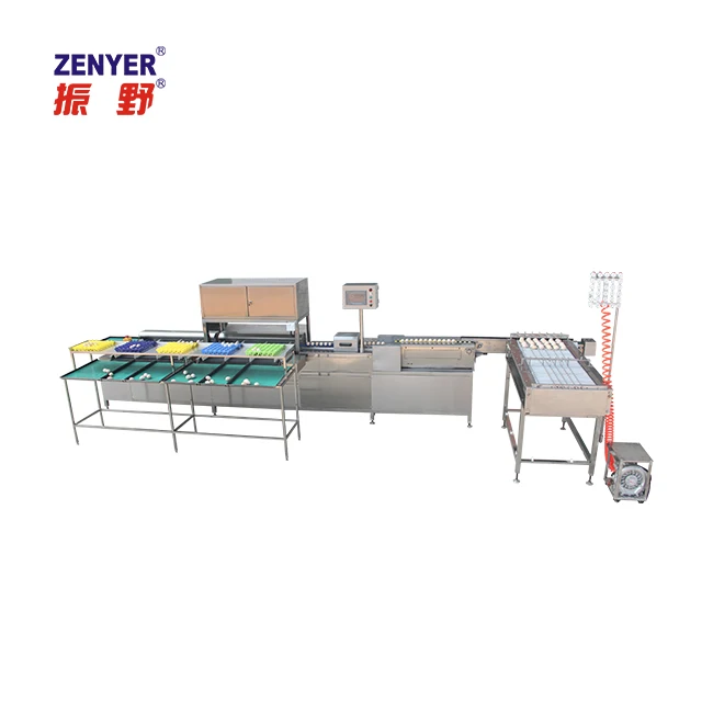 large electronic egg grading sorting machine