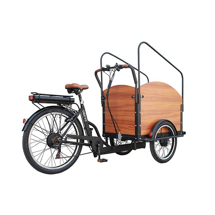 Горячая продажа другой грузовой велосипед e 500w 1000w 12000w двойное сиденье трехколесный мотор цикл Электрический (старый) для мамы и