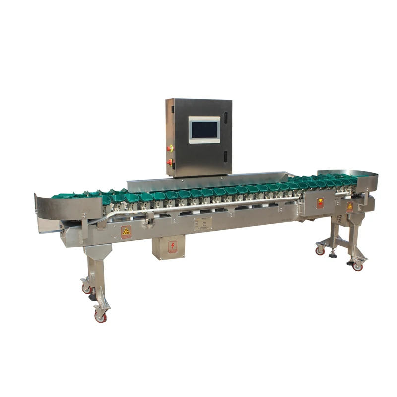 Fish Weight Grading Belt Type Seafood Sorting Machine