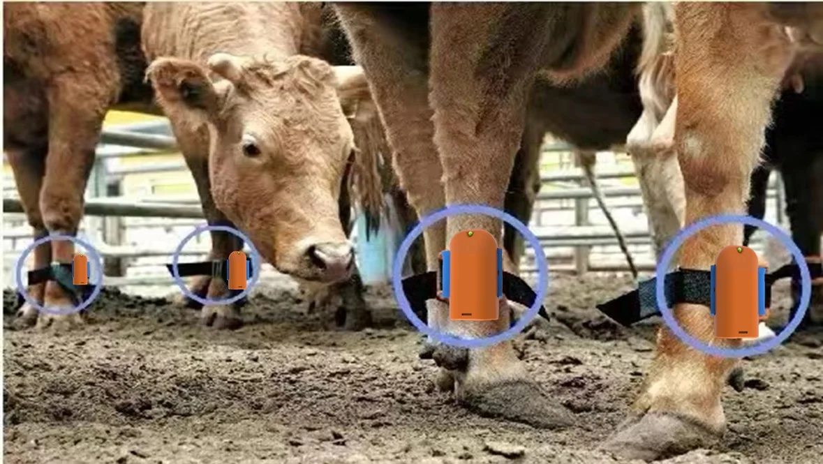 Animal Husbandry Equipment LED Flashing Cow Locating Tag Dairy Cattle Finder with LED guiding Easy Tracking Tag
