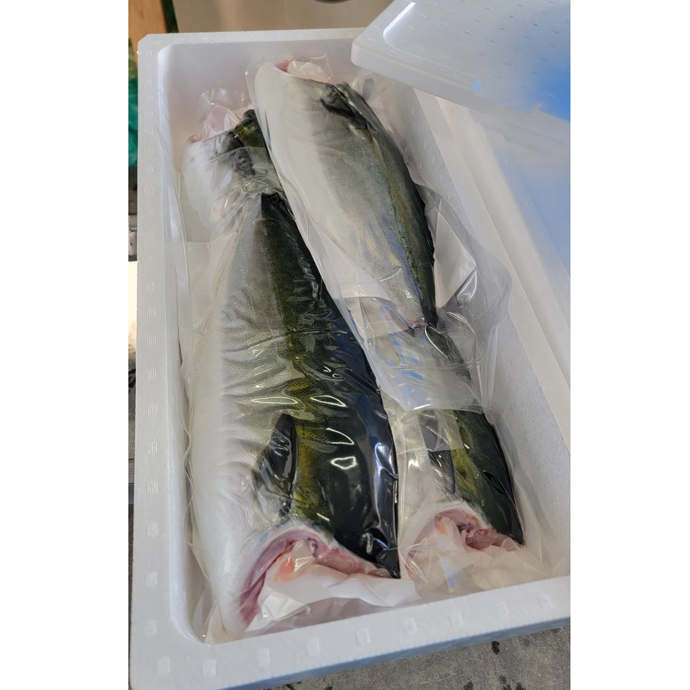 Japan seafood products fish fillet production line fed with beer yeast