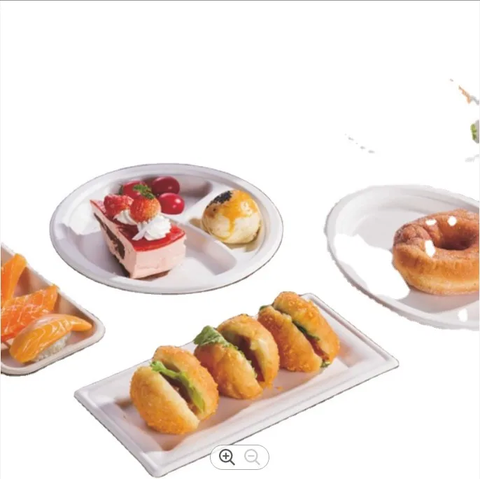 Multifunction Biodegradable Disposable Plastic Trays Frozen Meat Packaging Tray