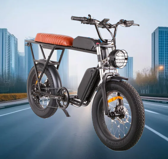 2024 New 48V 750W 21Ah Electric Bike/Motorcycle 25 kmh Speed 7-Speed Electronic Throttle Velocipede Pedal Sensor Fast Delivery