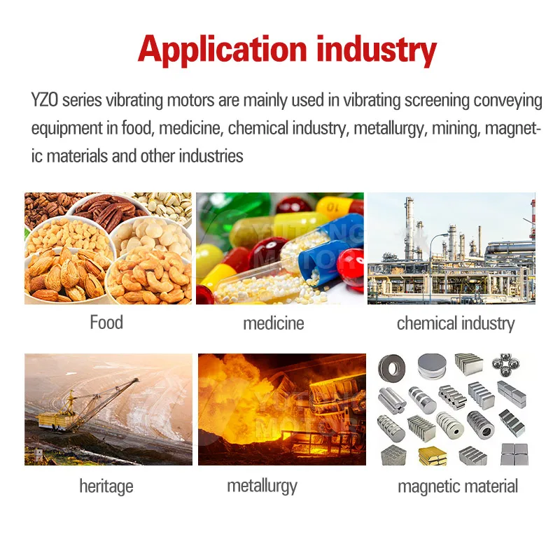 Reasonable Price 3 Phase Asynchronous 220V 380V Vibration Motor for All Kinds of Vibrating Machinery Customizable