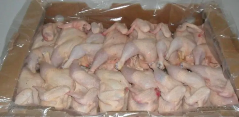 VERY CLEAN HALAL FROZEN CHICKEN FEET AND FULL CHICKEN for sale at cheap prices
