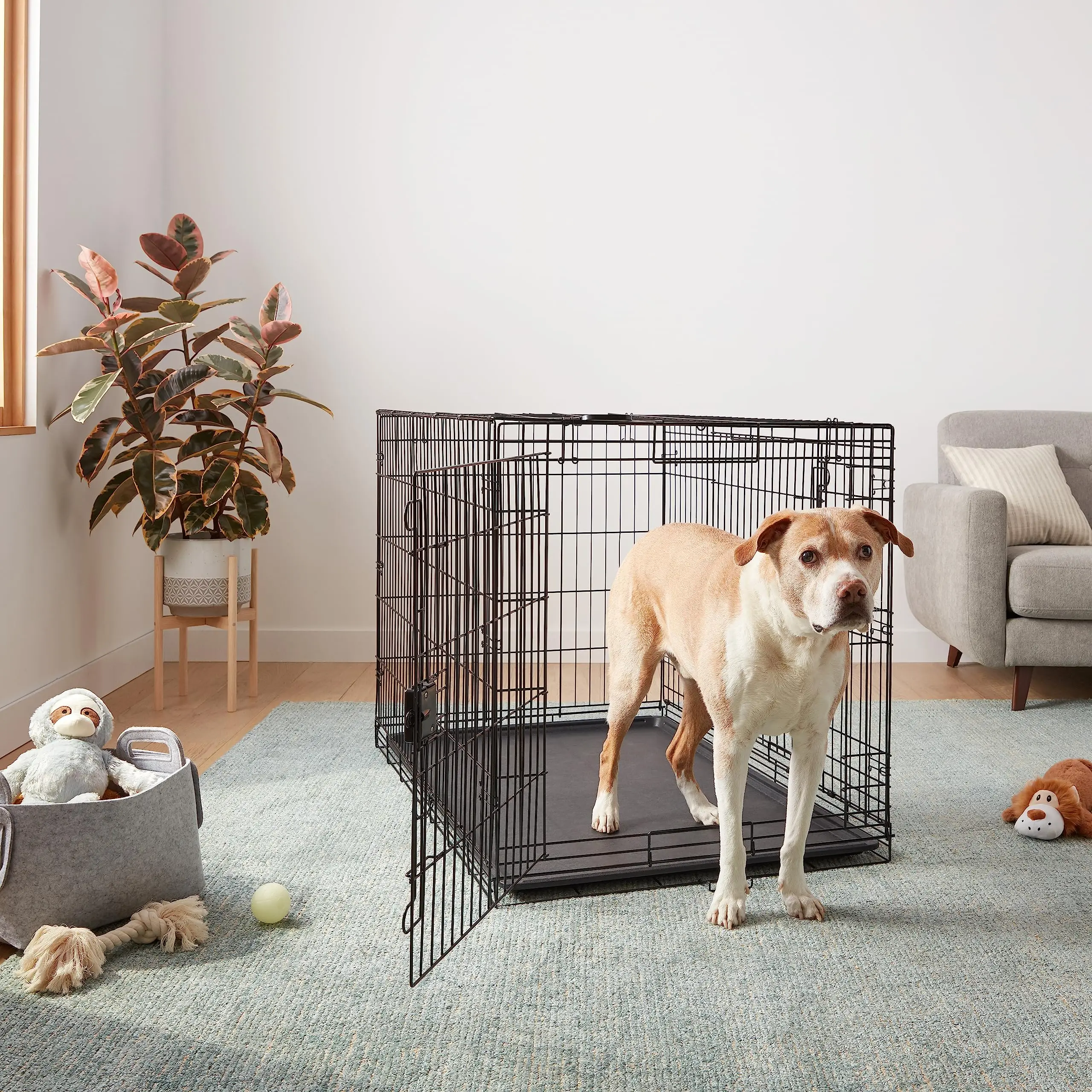 Made In Vietnam Multiple Sizes Double Door Foldable Metal Wire Cat Dog Crate Pet Cage
