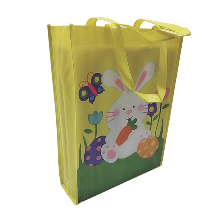 
Environmental Eco Widely Used Competitive Price Promotional Non Woven Bag 