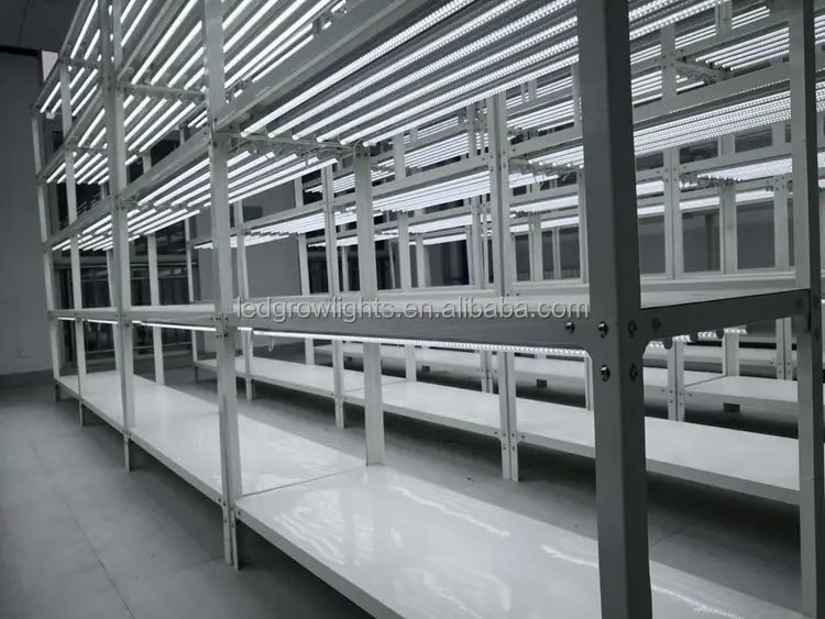 Laboratory banana flower Cold rolled steel tissue culture rack