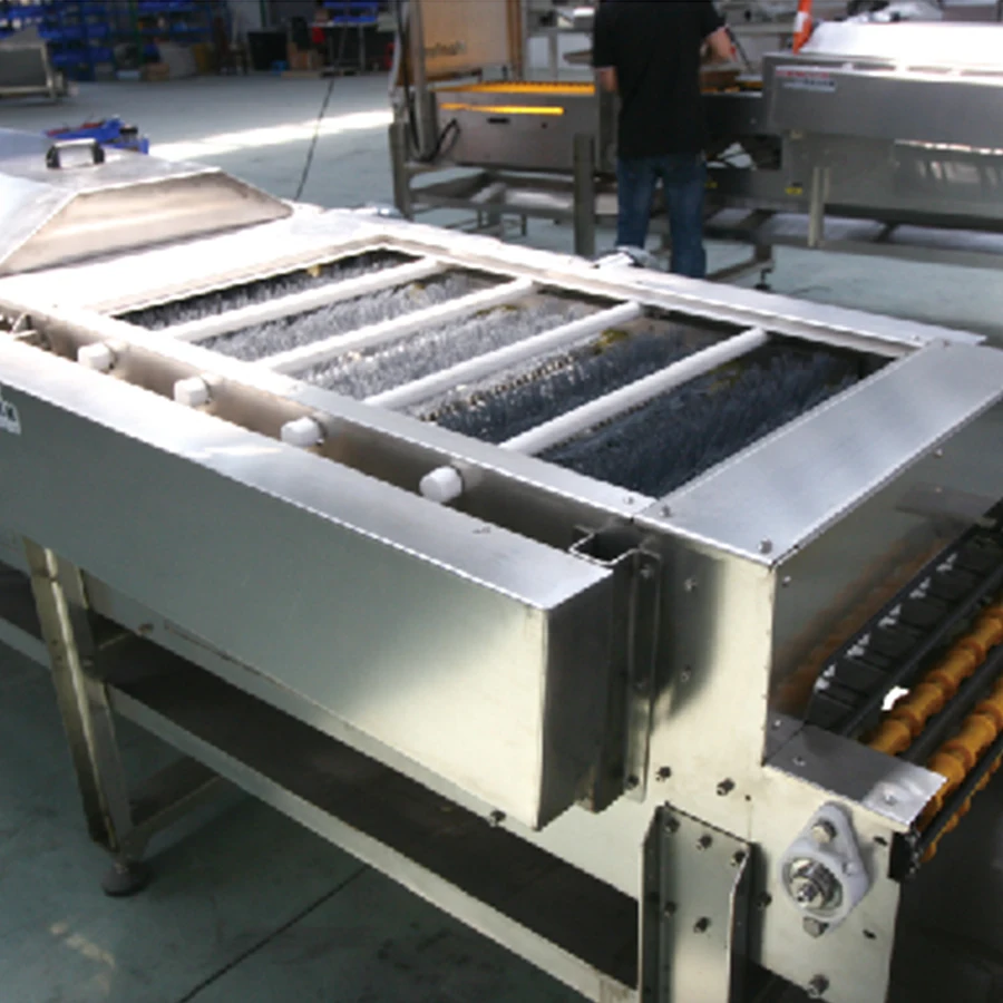 Best Sale Snail Shrimp Egg Sorting Line Automatic Machine Conveyor Belt Grading