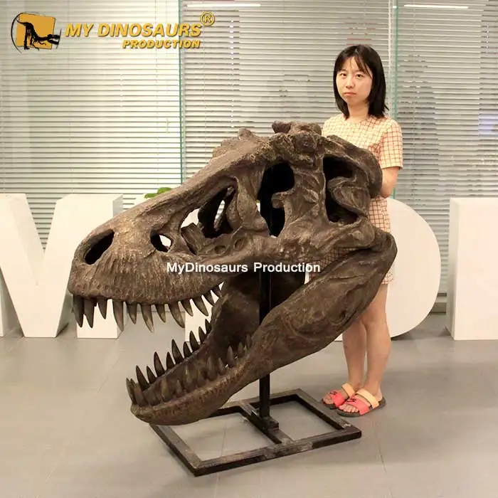 My Dino Artificial Fiberglass Life Size T-Rex Skull Replica
