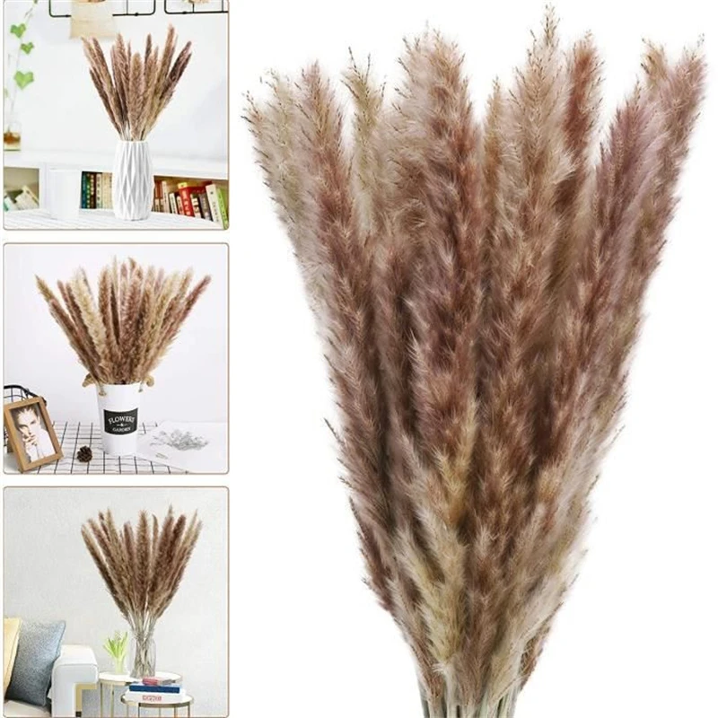 Dried Pampas Grass Decor Flowers Bouquet Pompass Grass Branches/ Pompous Grass For Flower Arrangements Wedding Home Decor