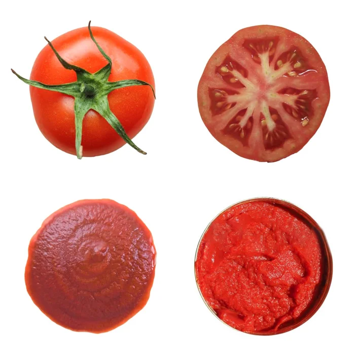 210g Canned Tomato Paste 28% Tin Tomato Paste for Buyer Tomato Paste Distributors