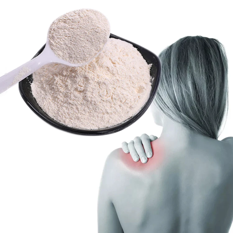 Top Quality Food Grade Marine Chondroitin Sulfate Pure Cas 9082-07-9 Chondroitin Sulfate