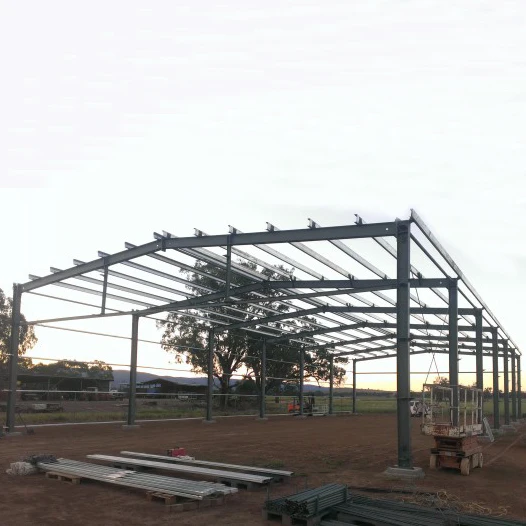 Professional Design China Factory Made Light Prefab Building Steel Structure Workshop