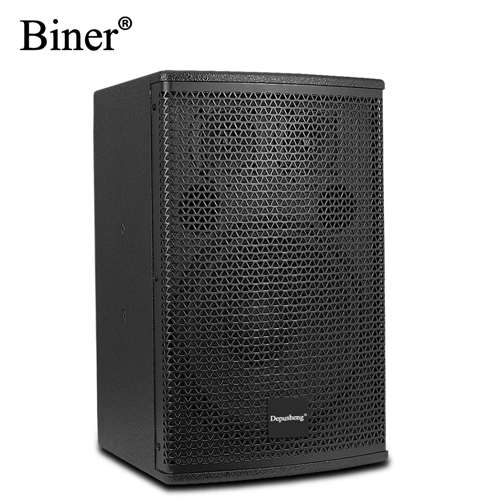 Biner D200 High Quality 10 Inch 100W Professional Audio Sound System Speaker For Family Cinema KTV