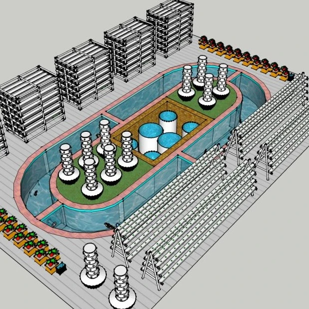Commercial aquaponics system for fish and plant grow together soilless culture