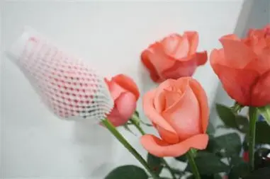 Hot sale  shockproof epe foam net cover  fruit coconut pawpaw mango protection mesh sleeve foam net supplier