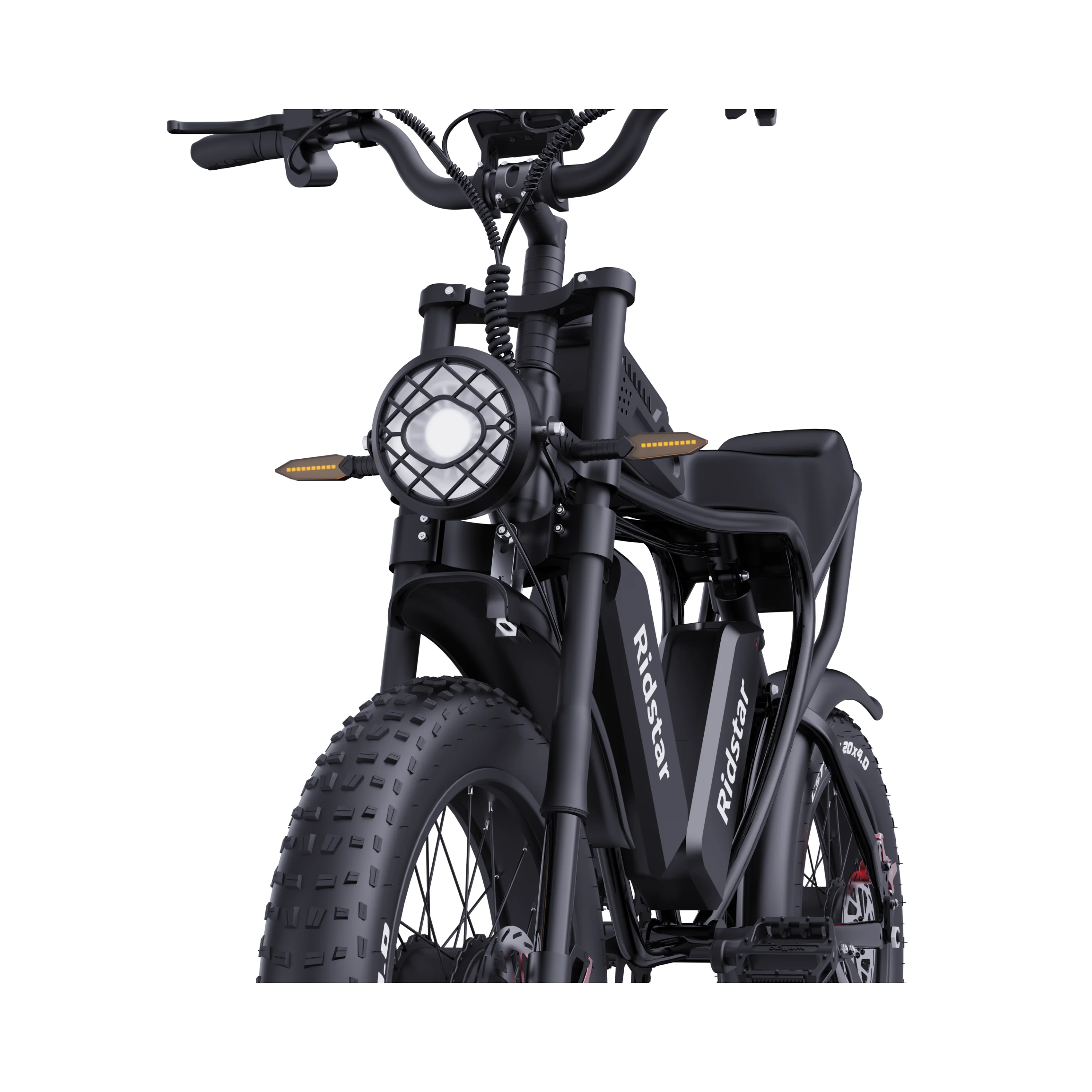 2000W Electric Bike Adults 20' City Ebike High-Speed 7 Speed Electronic Double Battery 7 Speed Electronic Fat Lithium Battery