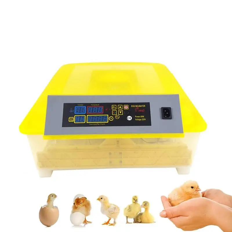 Dual Power Egg Incubator Mini 48 Eggs Incubator  for Sale