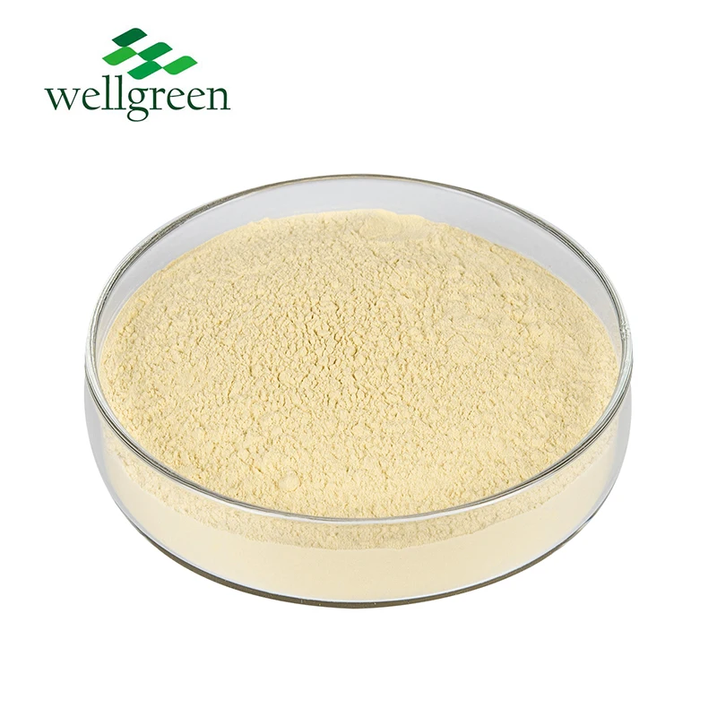 Lecithin Sunflower Powder Cas 8002-43-5 Purity 95% Phospholipids Bulk Supply Sunflower Lecithin