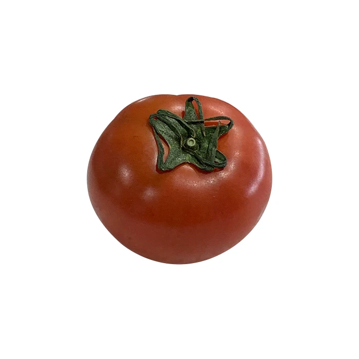 Delicious health fresh indoor organic hydroponic tomato made in Japan