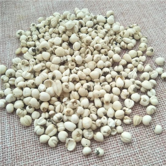 chun bei mu organic herb Fritillaria Cirrhosa Sichuan fritillary bulb