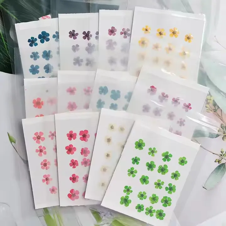 12 Color manicure Dry Flower Nail Sticker Large Dry Flower Nail Glitter Accessories Nail Art Sticker Product