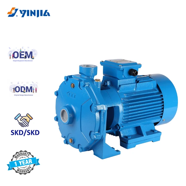 Economical High-Pressure Double Impellers Electric Water Pump Garden Irrigation Motor Power Supply Stainless Steel Iron