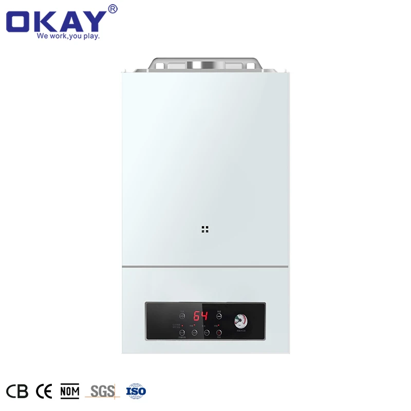 110v 220v Stainless instant Steel Wall heating radiator shower two multiple function  Gas Boiler water heater For Household